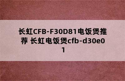 长虹CFB-F30D81电饭煲推荐 长虹电饭煲cfb-d30e01